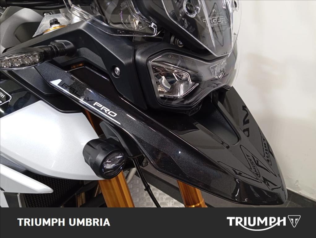 TRIUMPH Tiger 900 GT Rally Pro Abs