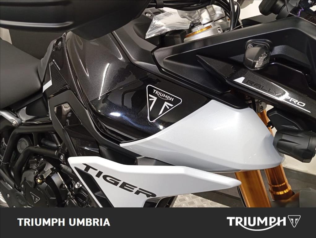 TRIUMPH Tiger 900 GT Rally Pro Abs